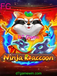 NinjaRaccoon